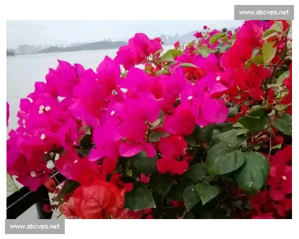 金钥匙比赛：点燃创意激情，激发年轻力量，助力未来科技梦想腾飞